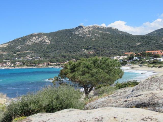 T2 Renove 100m Avec Privatif Entre Calvi Et Ile Rousse Apartment